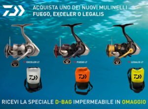 Promo Daiwa