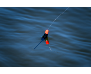 pp-p0090169_f1dibber-005_inuse