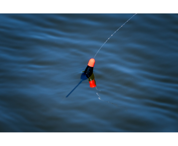 PRESTON F1 DIBBER FLOAT GALLEGGIANTE
