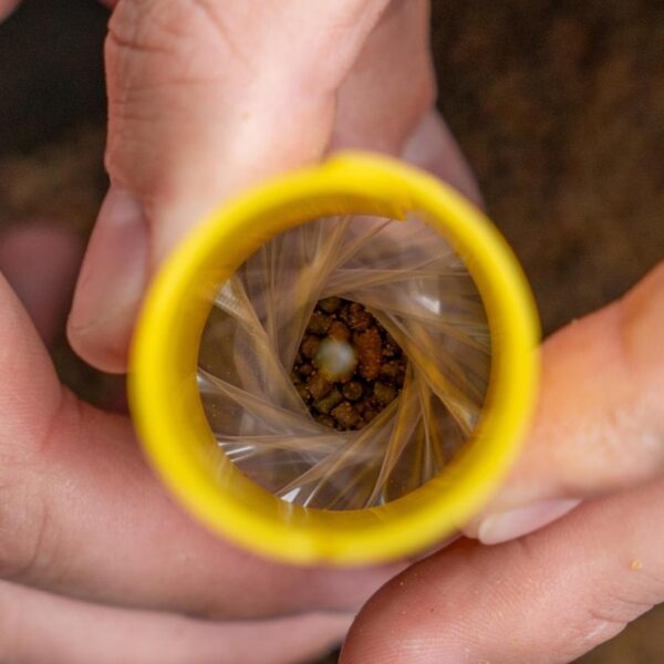 AVID TRANSFER SOLID BAG SYSTEM