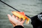 FOX RAGE ULTRA NATURALS REPLICANT ROACH 14cm